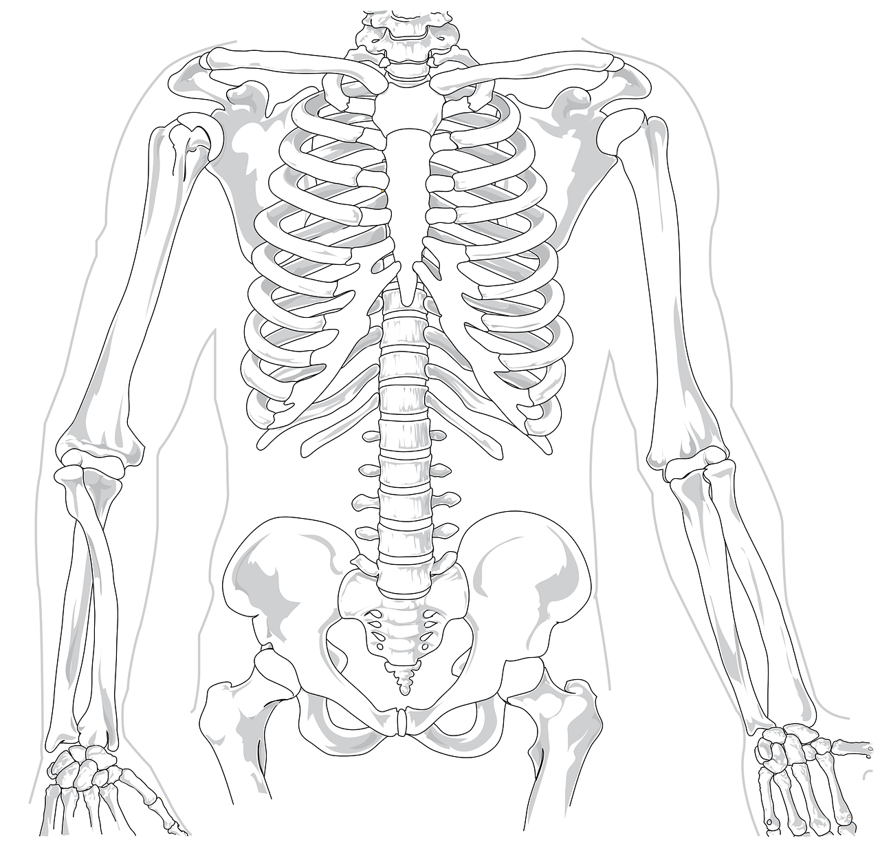 entdecken sie maßgeschneiderte orthopädische einlagen für optimalen komfort und perfekte unterstützung ihrer füße. ideale lösung bei fußproblemen und zur verbesserung ihrer mobilität.