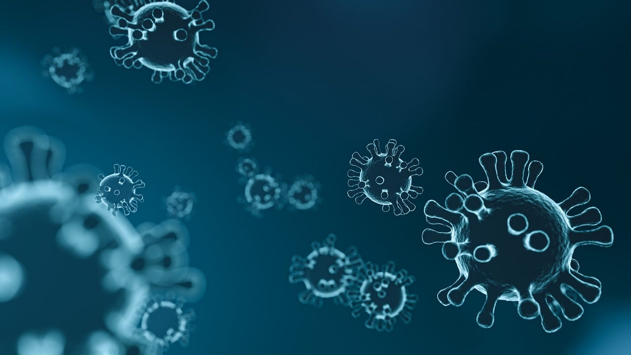 entdecken sie, wie das immunsystem ihren körper vor krankheiten schützt. erfahren sie mehr über funktionen, stärkung und häufige störungen des immunsystems.