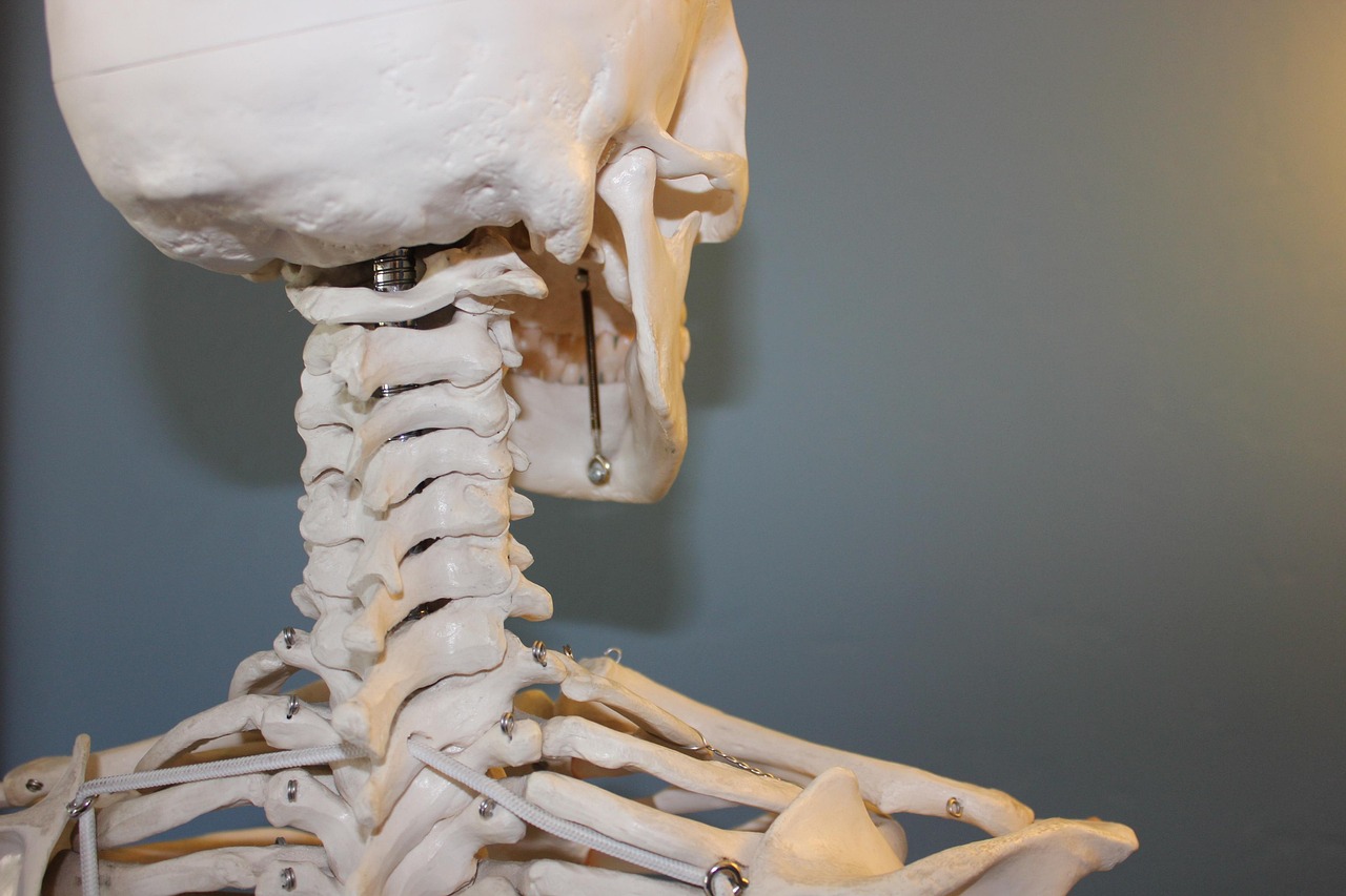 entdecken sie alles rund um orthopädie: informationen zu behandlungen, modernen therapiemöglichkeiten und tipps für gesunde gelenke und knochen. für ihre mobilität und lebensqualität.