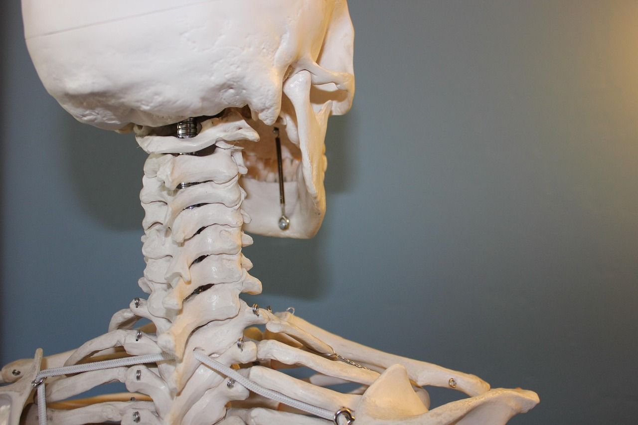 entdecken sie alles rund um orthopädie: informationen zu behandlungen, modernen therapiemöglichkeiten und tipps für gesunde gelenke und knochen. für ihre mobilität und lebensqualität.