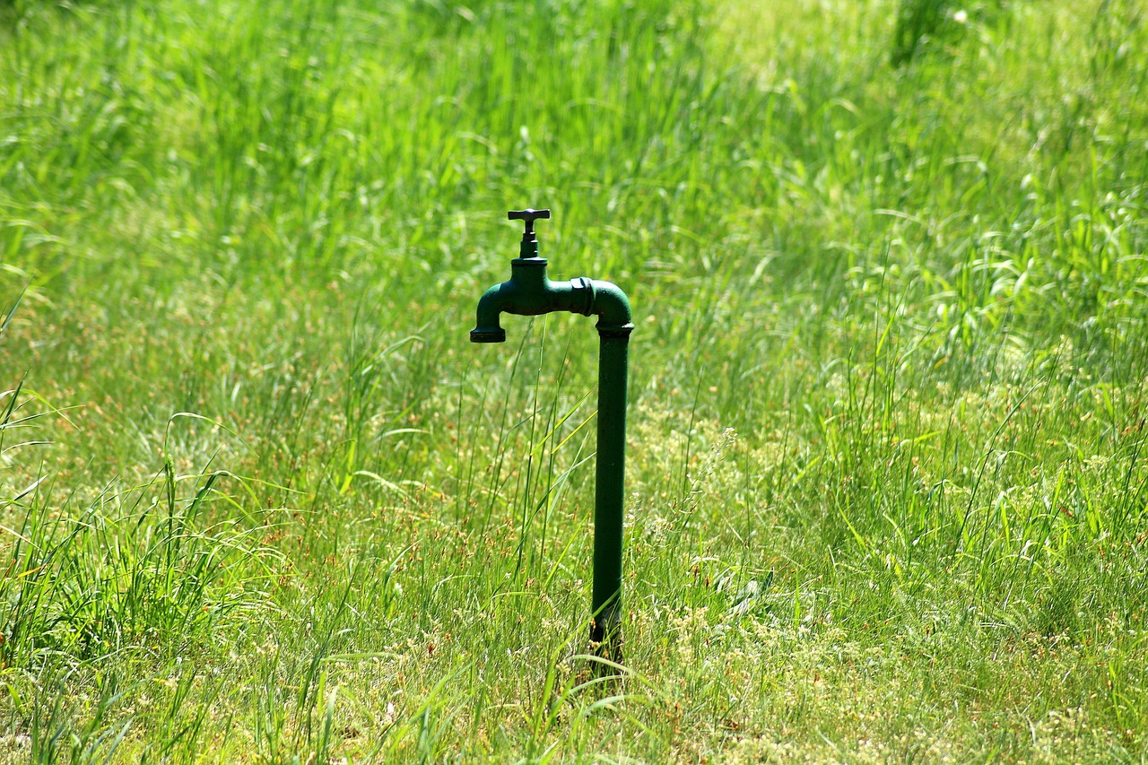 Wie viel Wasser sollte man täglich trinken?