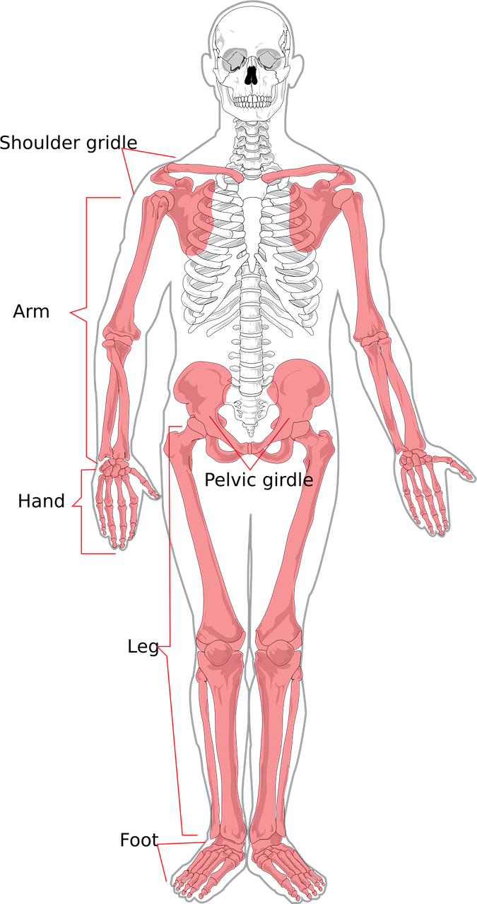 entdecken sie effektive methoden und produkte zur förderung der gelenkgesundheit. tipps zur vorbeugung von gelenkbeschwerden und erhalt ihrer mobilität.
