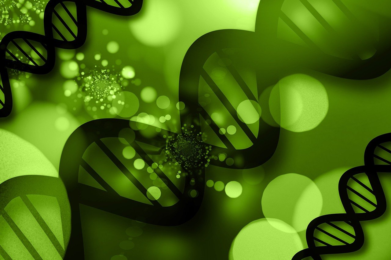 entdecken sie die faszinierende welt der genetik – von den grundlagen der vererbung bis zu modernen forschungen und anwendungen in medizin und biotechnologie.