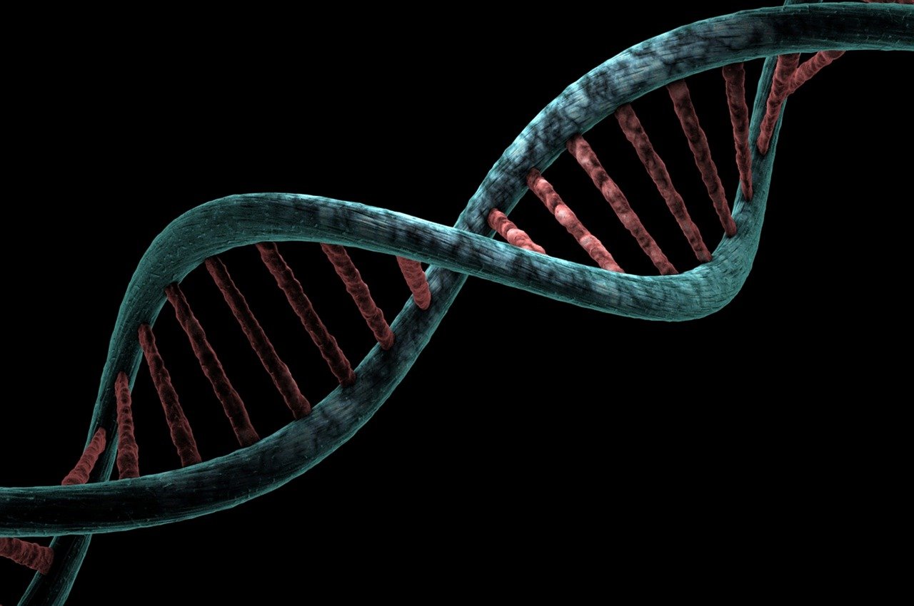 entdecken sie die faszinierende welt der genetik – die wissenschaft der gene, vererbung und dna, die unser verständnis von leben und gesundheit revolutioniert.